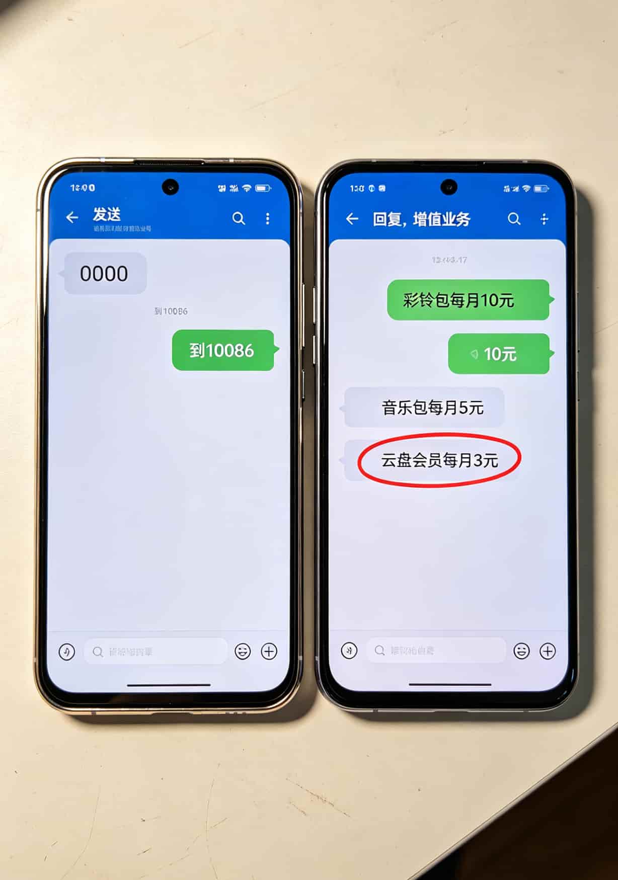 作者手持五张不同运营商流量卡，背景是广州天河街头