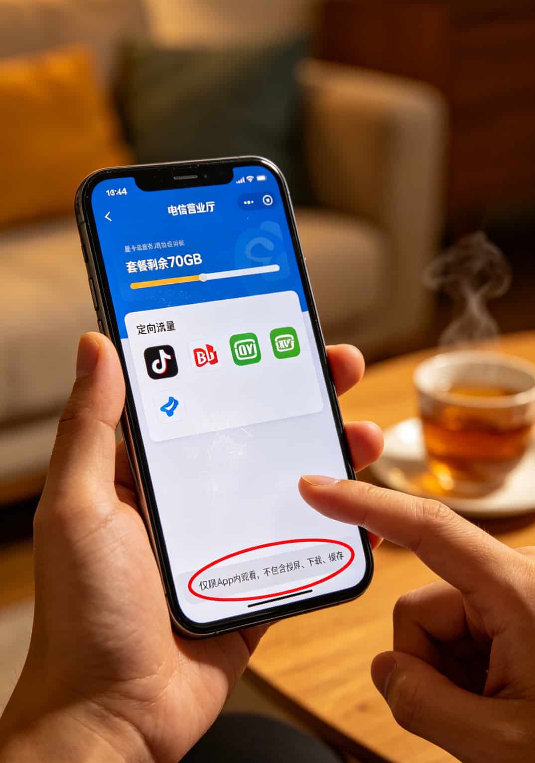 电信营业厅App的套餐详情截图，圈出定向流量小字